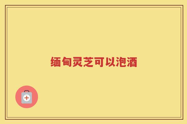 缅甸灵芝可以泡酒