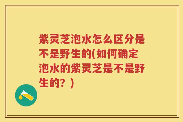 紫灵芝泡水怎么区分是不是野生的(如何确定泡水的紫灵芝是不是野生的？)