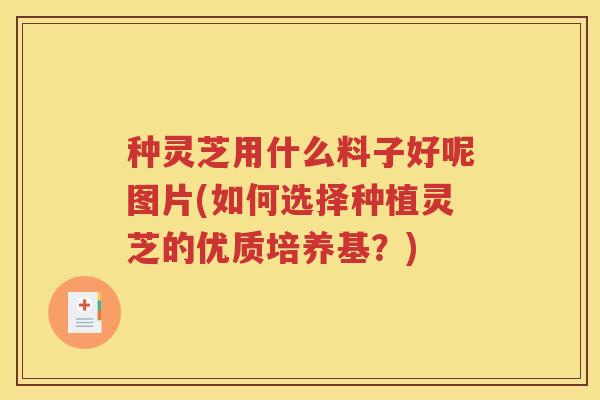 种灵芝用什么料子好呢图片(如何选择种植灵芝的优质培养基?) 种灵芝用什么料子好呢图片(如何选择种植灵芝的优质培养基?)