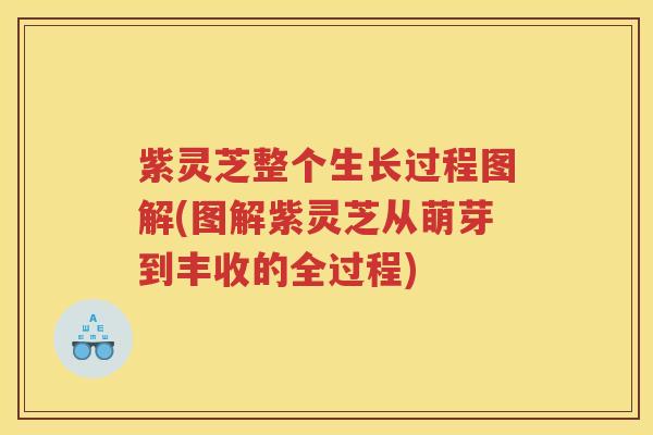 紫灵芝整个生长过程图解(图解紫灵芝从萌芽到丰收的全过程)