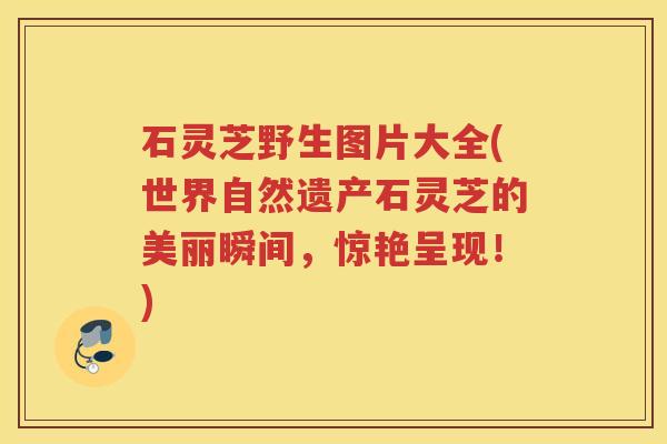 石灵芝野生图片大全(世界自然遗产石灵芝的美丽瞬间，惊艳呈现！)