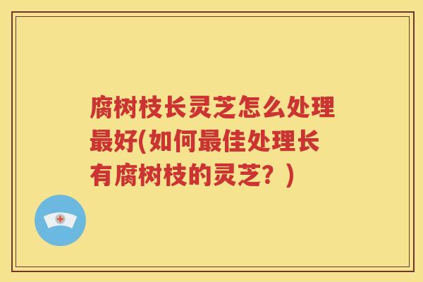 腐树枝长灵芝怎么处理最好(如何最佳处理长有腐树枝的灵芝？)