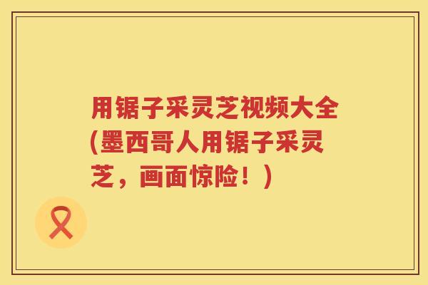 用锯子采灵芝视频大全(墨西哥人用锯子采灵芝，画面惊险！)