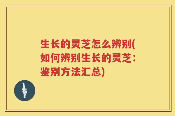 生长的灵芝怎么辨别(如何辨别生长的灵芝：鉴别方法汇总)
