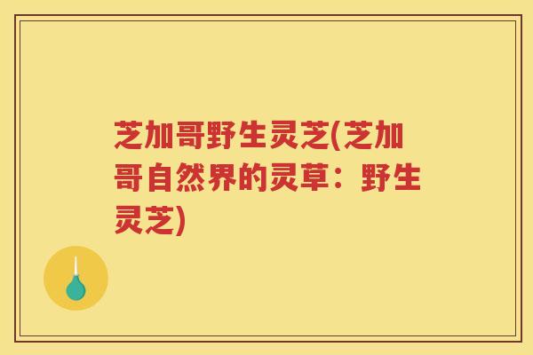 芝加哥野生灵芝(芝加哥自然界的灵草：野生灵芝)