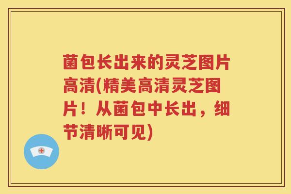 菌包长出来的灵芝图片高清(精美高清灵芝图片！从菌包中长出，细节清晰可见)