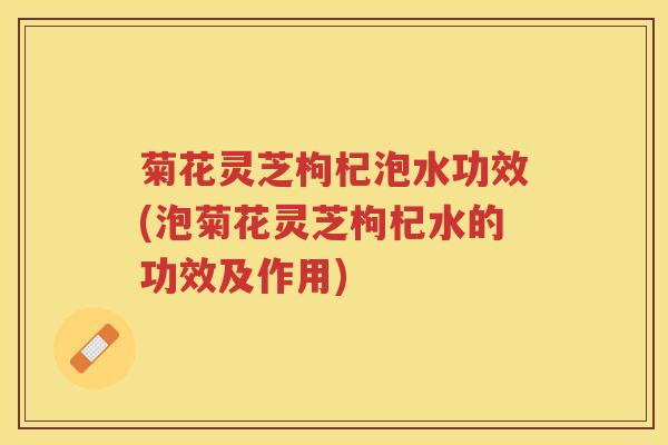 菊花灵芝枸杞泡水功效(泡菊花灵芝枸杞水的功效及作用)
