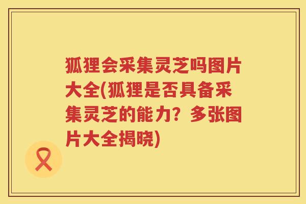 狐狸会采集灵芝吗图片大全(狐狸是否具备采集灵芝的能力？多张图片大全揭晓)