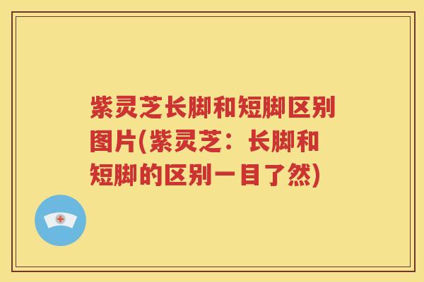 紫灵芝长脚和短脚区别图片(紫灵芝:长脚和短脚的区别一目了然) 紫灵芝长脚和短脚区别图片(紫灵芝:长脚和短脚的区别一目了然)