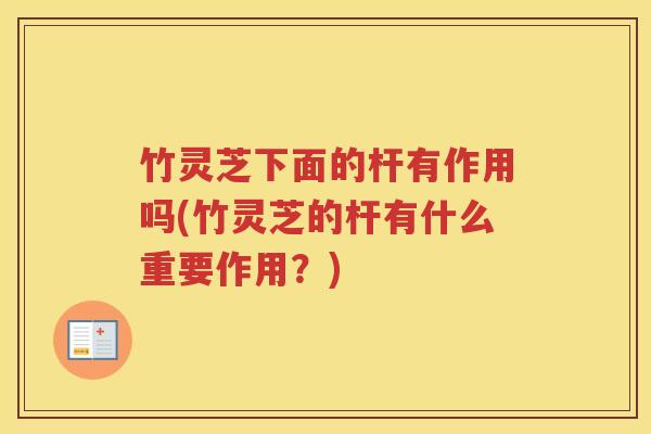 竹灵芝下面的杆有作用吗(竹灵芝的杆有什么重要作用？)