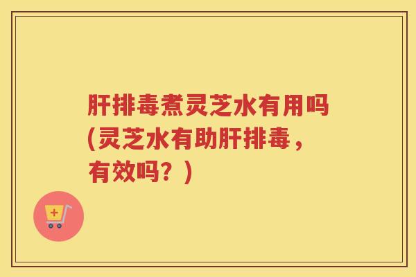 肝排毒煮灵芝水有用吗(灵芝水有助肝排毒，有效吗？)