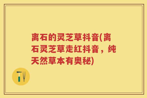 离石的灵芝草抖音(离石灵芝草走红抖音，纯天然草本有奥秘)