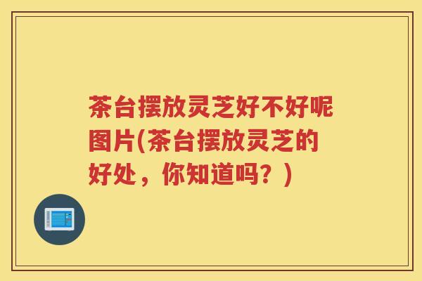 茶台摆放灵芝好不好呢图片(茶台摆放灵芝的好处，你知道吗？)