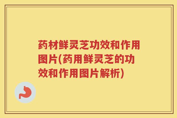 药材鲜灵芝功效和作用图片(药用鲜灵芝的功效和作用图片解析)