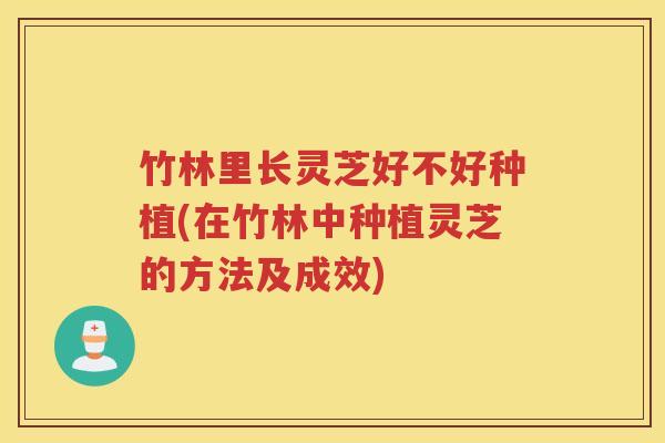 竹林里长灵芝好不好种植(在竹林中种植灵芝的方法及成效)