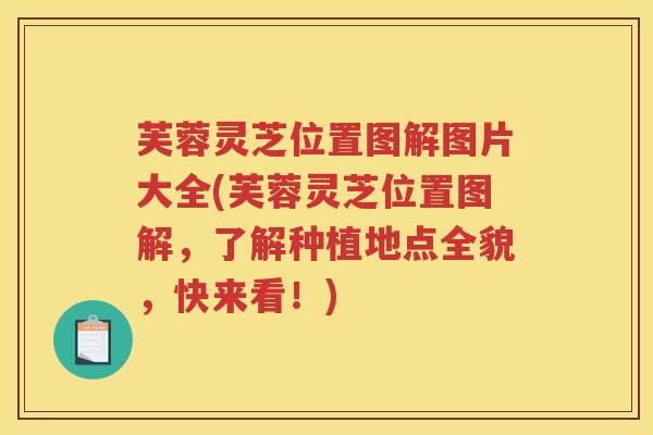 芙蓉灵芝位置图解图片大全(芙蓉灵芝位置图解,了解种植地点全貌,快来看!) 芙蓉灵芝位置图解图片大全(芙蓉灵芝位置图解,了解种植地点全貌,快来看!)