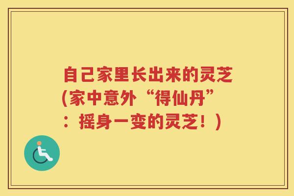 自己家里长出来的灵芝(家中意外“得仙丹”：摇身一变的灵芝！)