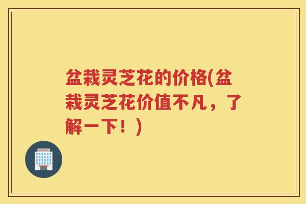 盆栽灵芝花的价格(盆栽灵芝花价值不凡，了解一下！)