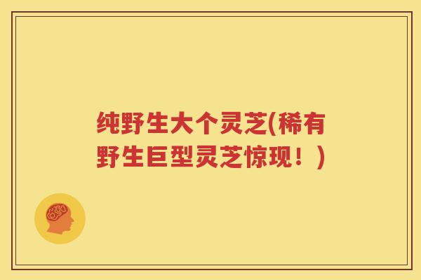 纯野生大个灵芝(稀有野生巨型灵芝惊现！)