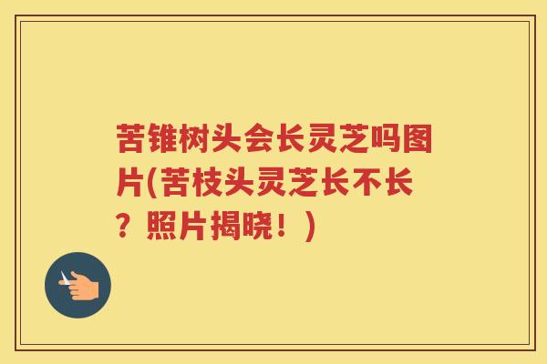 苦锥树头会长灵芝吗图片(苦枝头灵芝长不长？照片揭晓！)