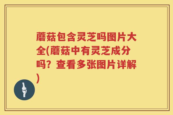 蘑菇包含灵芝吗图片大全(蘑菇中有灵芝成分吗？查看多张图片详解)