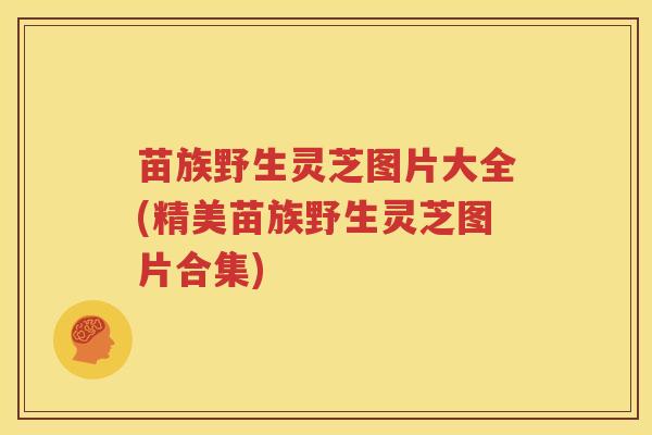 苗族野生灵芝图片大全(精美苗族野生灵芝图片合集)