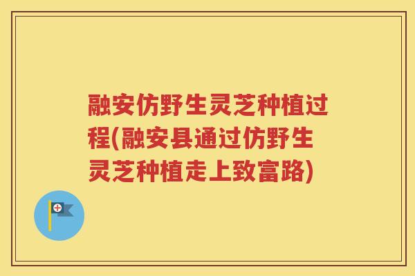 融安仿野生灵芝种植过程(融安县通过仿野生灵芝种植走上致富路)