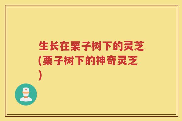 生长在栗子树下的灵芝(栗子树下的神奇灵芝)