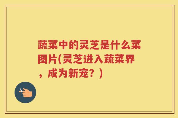 蔬菜中的灵芝是什么菜图片(灵芝进入蔬菜界，成为新宠？)
