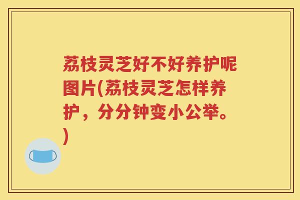 荔枝灵芝好不好养护呢图片(荔枝灵芝怎样养护，分分钟变小公举。)