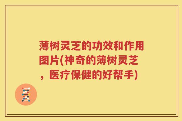 薄树灵芝的功效和作用图片(神奇的薄树灵芝,医疗保健的好帮手) 薄树灵芝的功效和作用图片(神奇的薄树灵芝,医疗保健的好帮手)