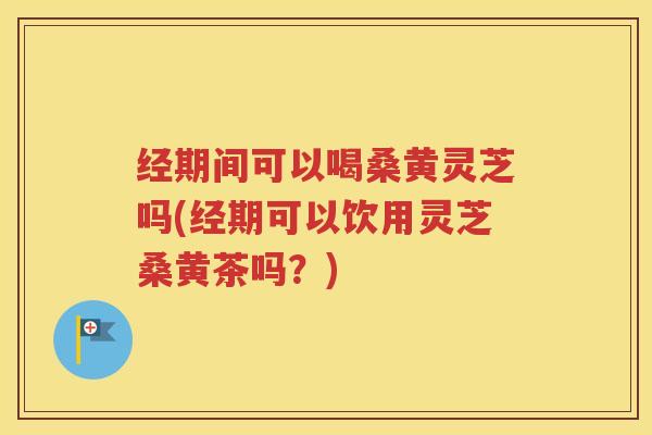 经期间可以喝桑黄灵芝吗(经期可以饮用灵芝桑黄茶吗？)