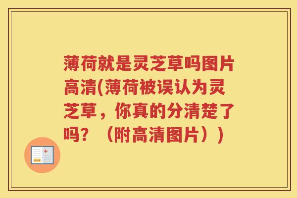 薄荷就是灵芝草吗图片高清(薄荷被误认为灵芝草，你真的分清楚了吗？（附高清图片）)