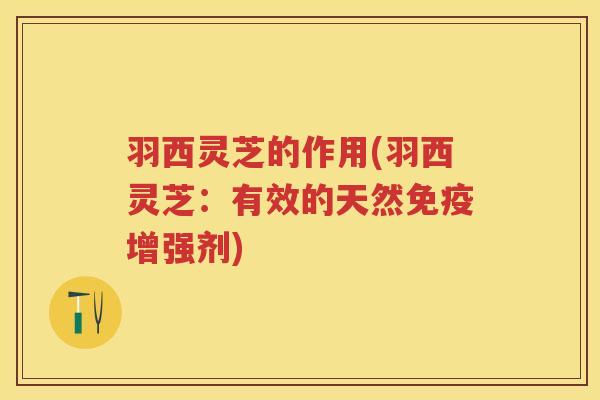 羽西灵芝的作用(羽西灵芝：有效的天然免疫增强剂)