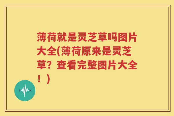 薄荷就是灵芝草吗图片大全(薄荷原来是灵芝草?查看完整图片大全!) 薄荷就是灵芝草吗图片大全(薄荷原来是灵芝草?查看完整图片大全!)