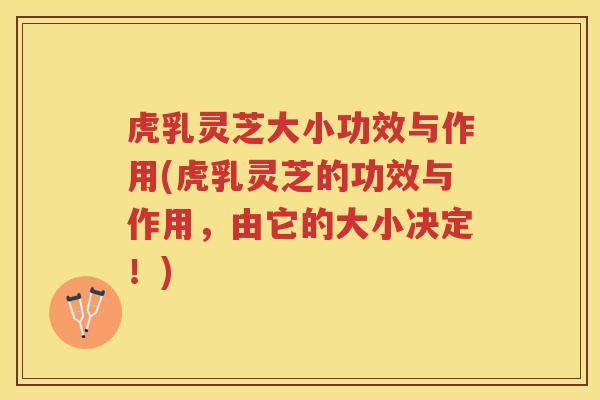 虎乳灵芝大小功效与作用(虎乳灵芝的功效与作用，由它的大小决定！)