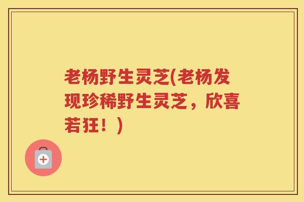 老杨野生灵芝(老杨发现珍稀野生灵芝，欣喜若狂！)