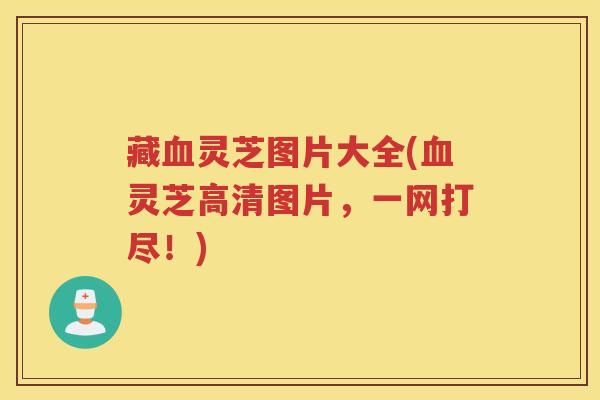 藏灵芝图片大全(灵芝高清图片，一网打尽！)