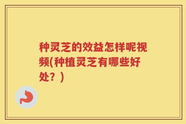 种灵芝的效益怎样呢视频(种植灵芝有哪些好处？)