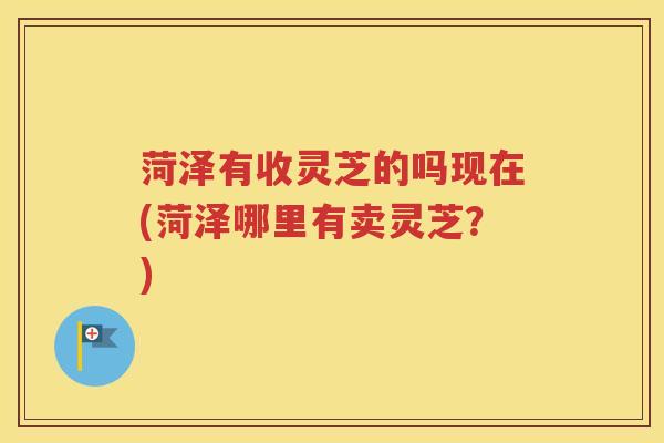 菏泽有收灵芝的吗现在(菏泽哪里有卖灵芝？)