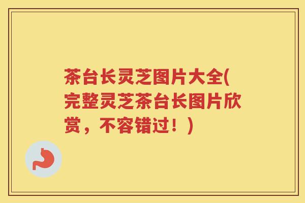 茶台长灵芝图片大全(完整灵芝茶台长图片欣赏，不容错过！)