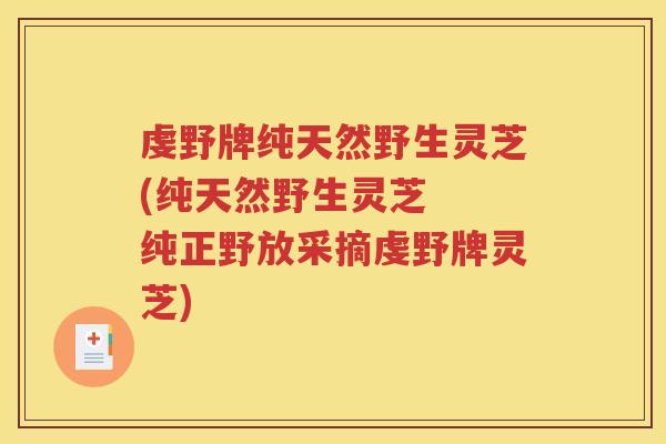 虔野牌纯天然野生灵芝(纯天然野生灵芝  纯正野放采摘虔野牌灵芝)