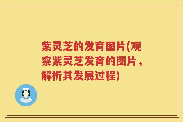 紫灵芝的发育图片(观察紫灵芝发育的图片,解析其发展过程) 紫灵芝的发育图片(观察紫灵芝发育的图片,解析其发展过程)