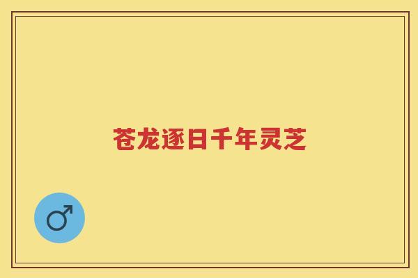 苍龙逐日千年灵芝