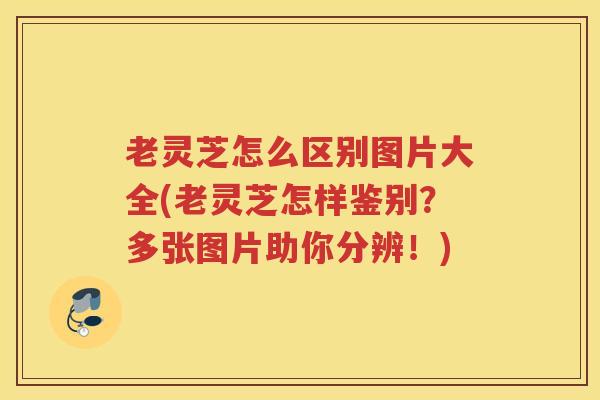 老灵芝怎么区别图片大全(老灵芝怎样鉴别？多张图片助你分辨！)