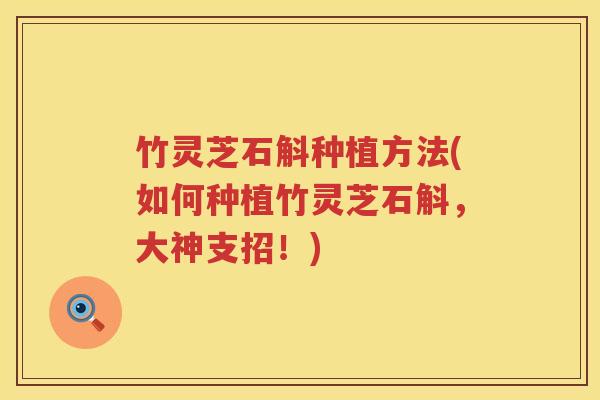 竹灵芝石斛种植方法(如何种植竹灵芝石斛，大神支招！)