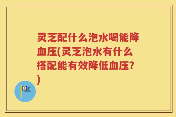 灵芝配什么泡水喝能降血压(灵芝泡水有什么搭配能有效降低血压？)