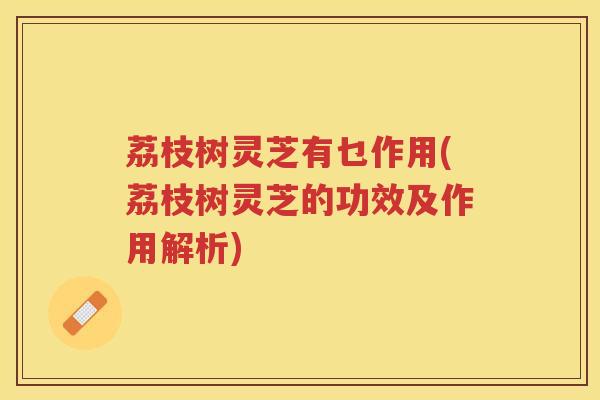 荔枝树灵芝有乜作用(荔枝树灵芝的功效及作用解析)