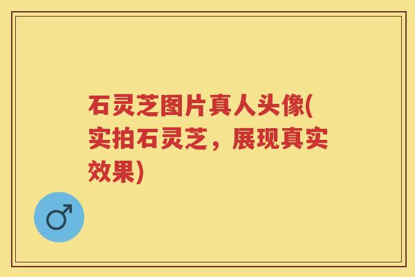 石灵芝图片真人头像(实拍石灵芝,展现真实效果) 石灵芝图片真人头像(实拍石灵芝,展现真实效果)