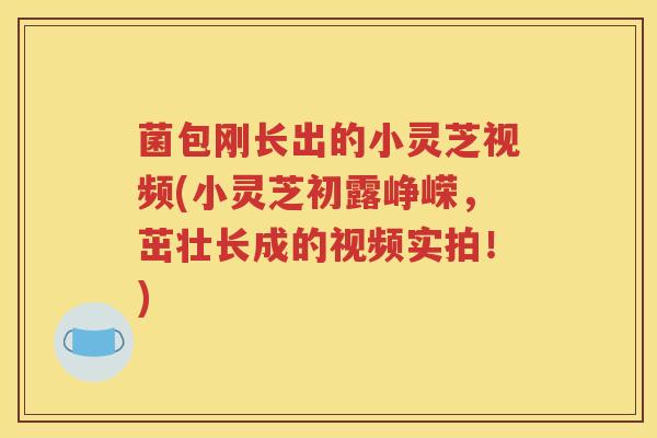 菌包刚长出的小灵芝视频(小灵芝初露峥嵘，茁壮长成的视频实拍！)
